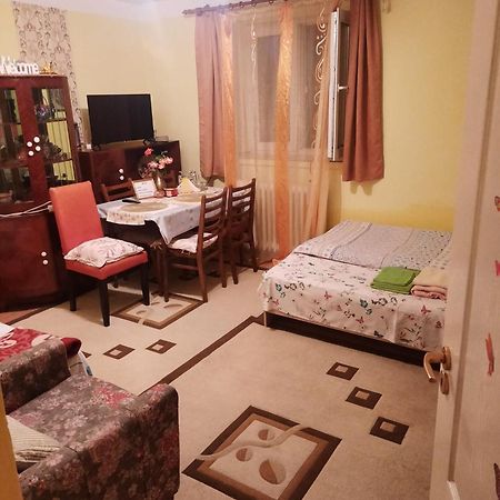 Apartament Cu Doua Camere Si Gradina Kluż-Napoka Zewnętrze zdjęcie