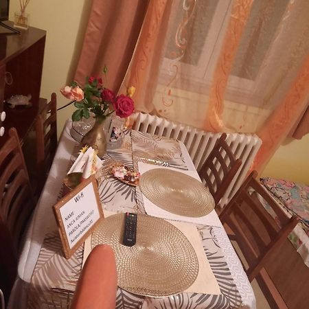 Apartament Cu Doua Camere Si Gradina Kluż-Napoka Zewnętrze zdjęcie
