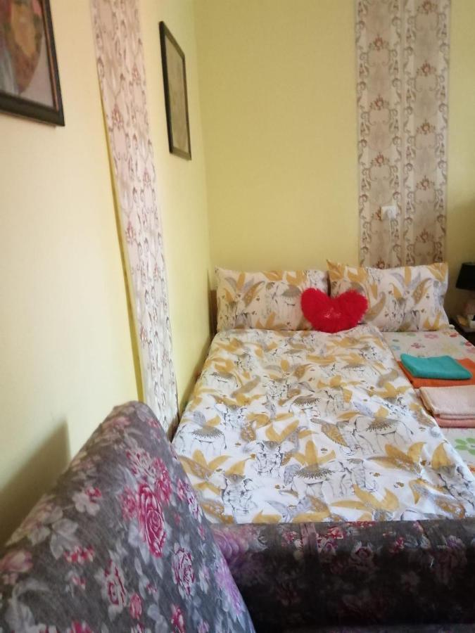 Apartament Cu Doua Camere Si Gradina Kluż-Napoka Zewnętrze zdjęcie