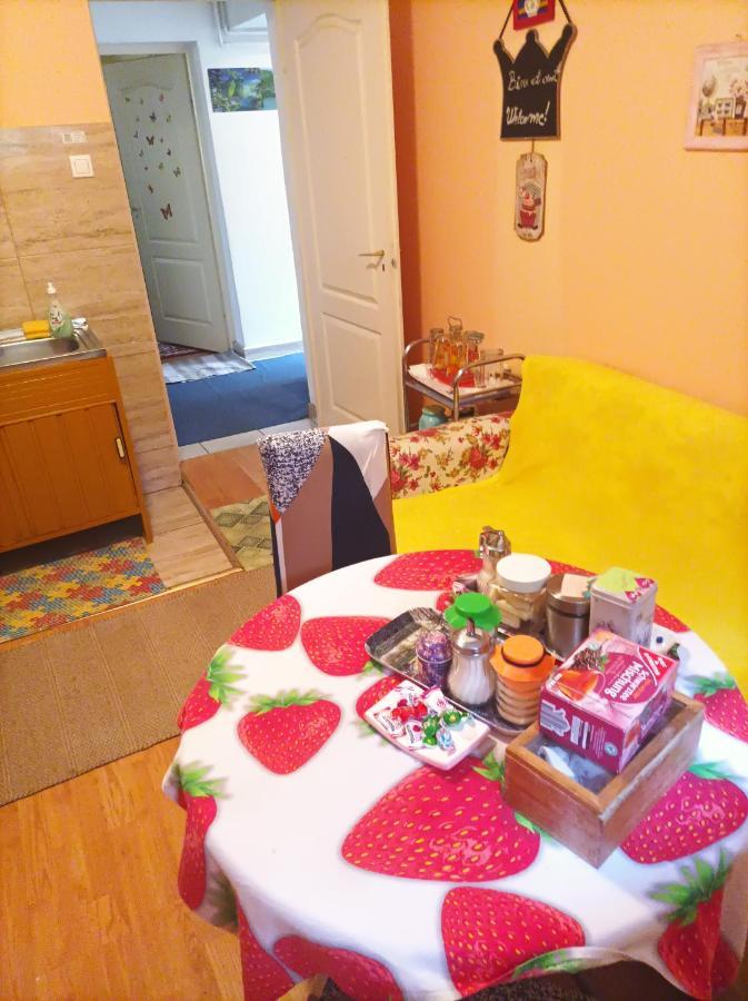 Apartament Cu Doua Camere Si Gradina Kluż-Napoka Zewnętrze zdjęcie