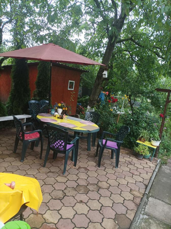 Apartament Cu Doua Camere Si Gradina Kluż-Napoka Zewnętrze zdjęcie