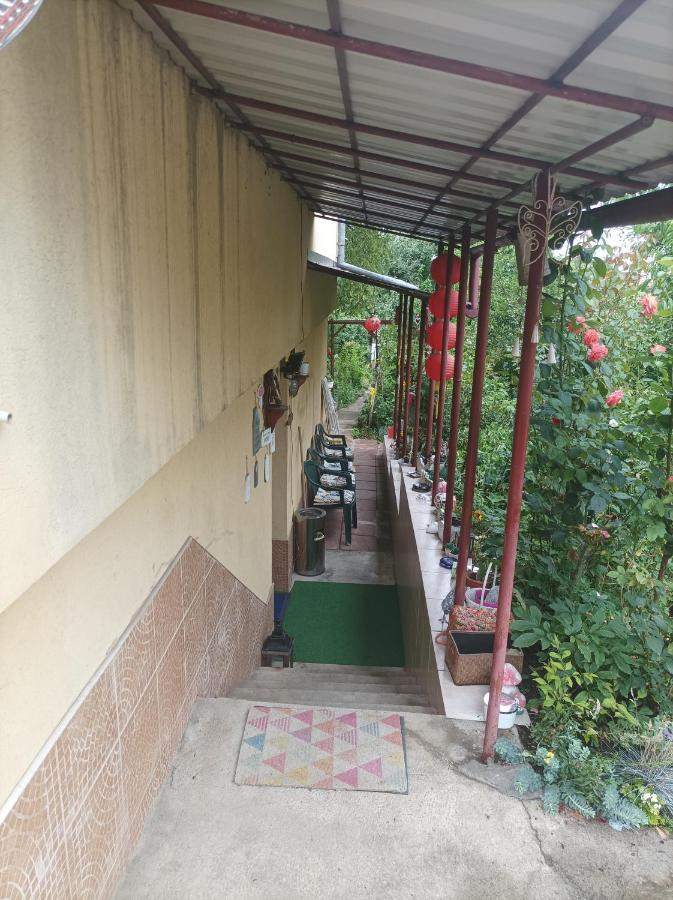 Apartament Cu Doua Camere Si Gradina Kluż-Napoka Zewnętrze zdjęcie