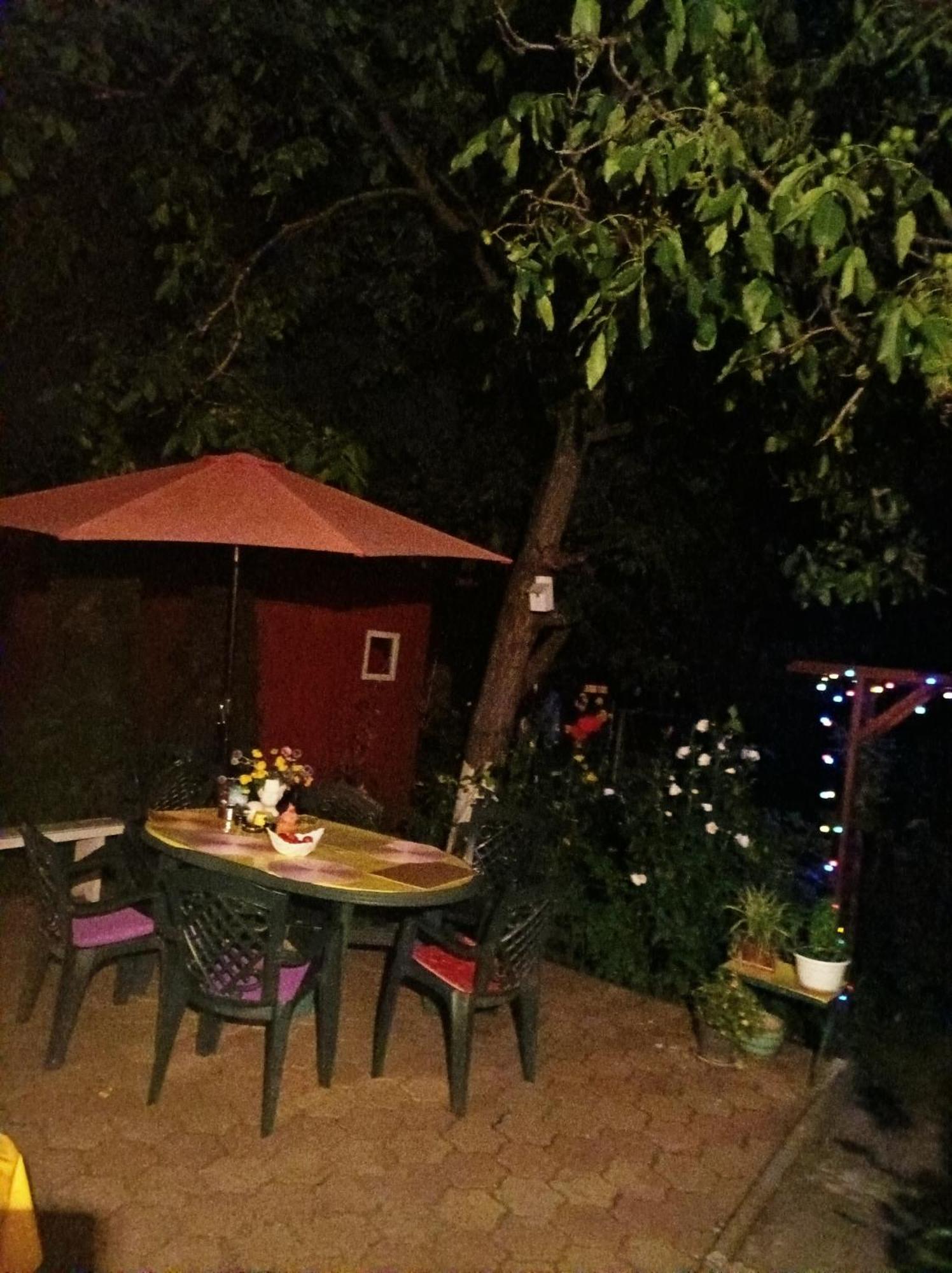 Apartament Cu Doua Camere Si Gradina Kluż-Napoka Zewnętrze zdjęcie