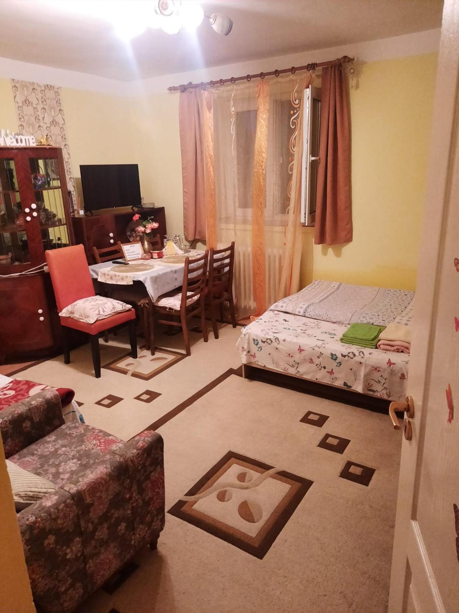 Apartament Cu Doua Camere Si Gradina Kluż-Napoka Zewnętrze zdjęcie