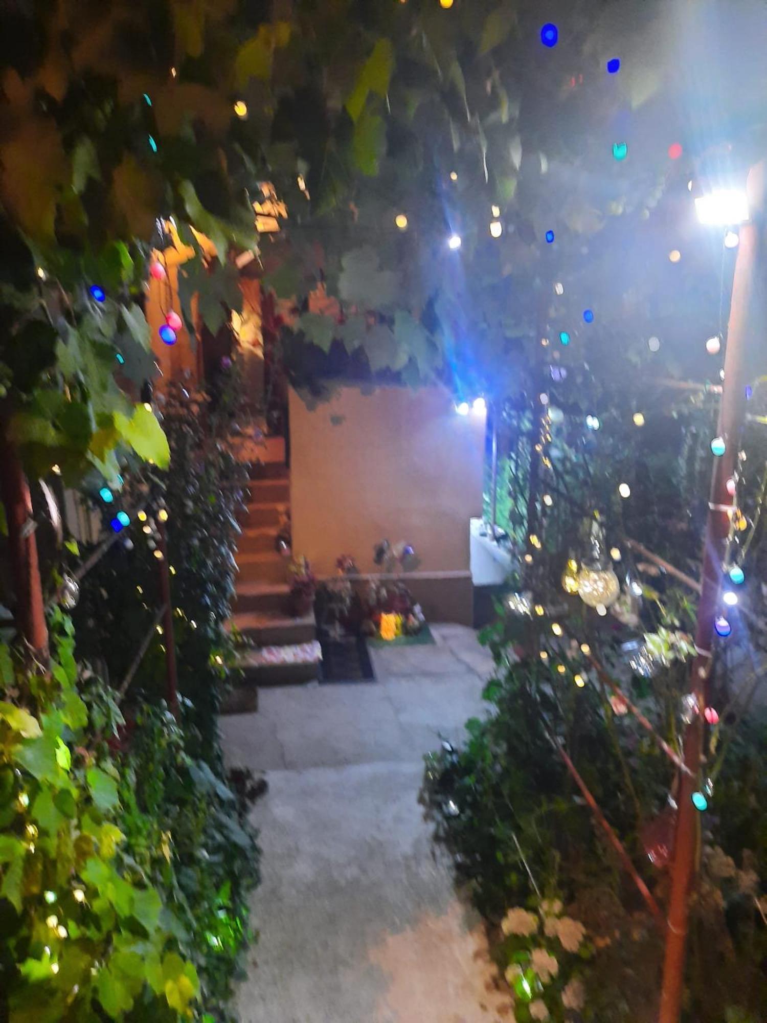 Apartament Cu Doua Camere Si Gradina Kluż-Napoka Zewnętrze zdjęcie