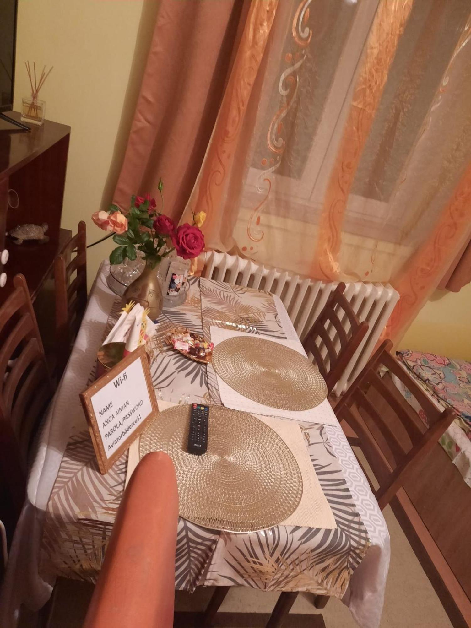 Apartament Cu Doua Camere Si Gradina Kluż-Napoka Zewnętrze zdjęcie