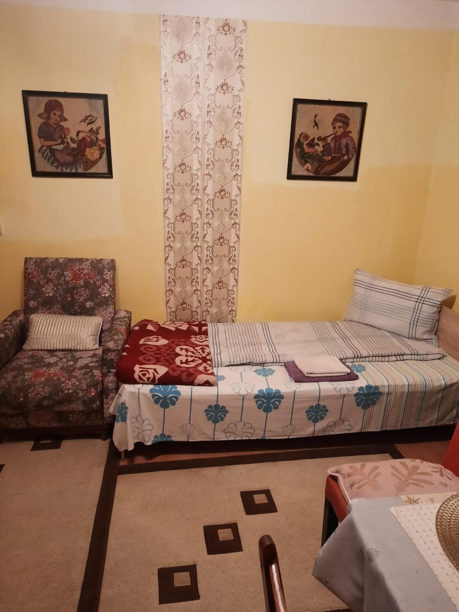 Apartament Cu Doua Camere Si Gradina Kluż-Napoka Zewnętrze zdjęcie