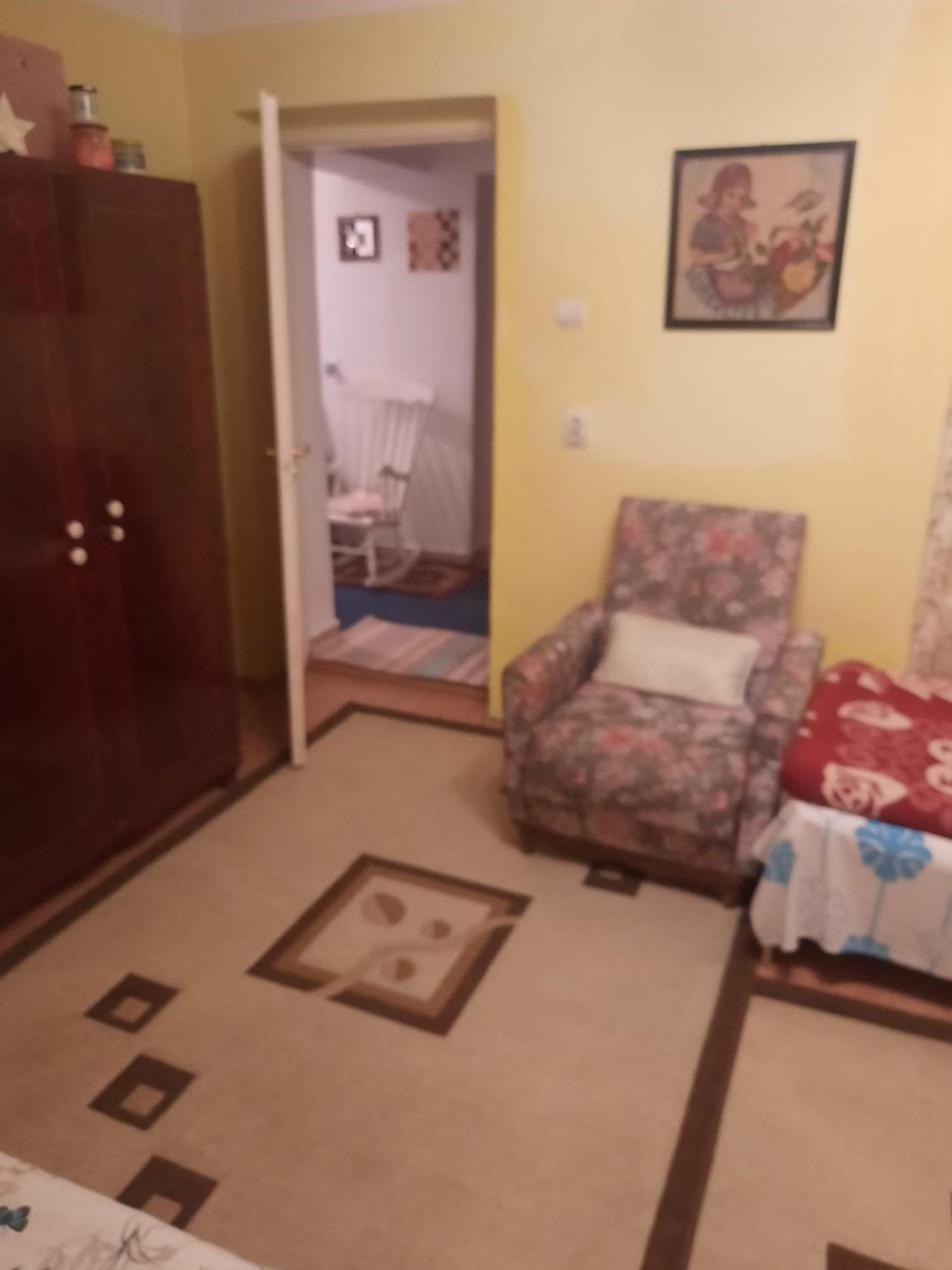 Apartament Cu Doua Camere Si Gradina Kluż-Napoka Zewnętrze zdjęcie